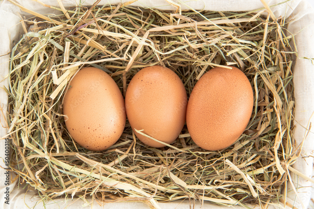 Three eggs in a basket