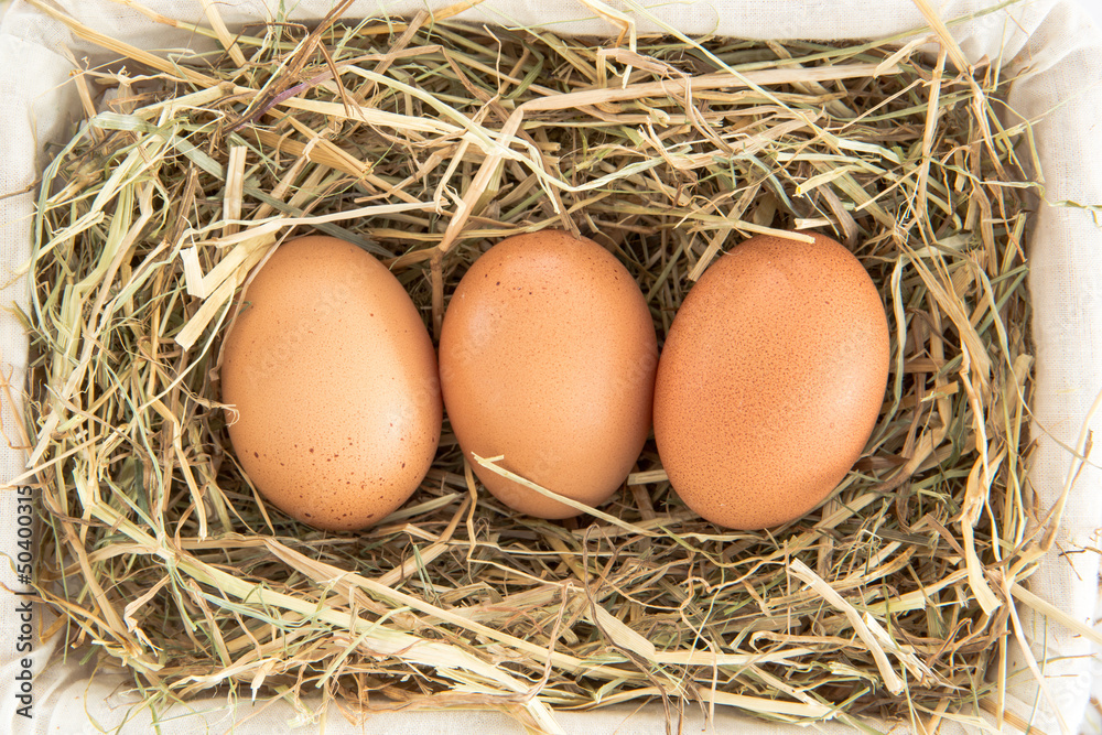 Three eggs in a basket Three eggs in a basket