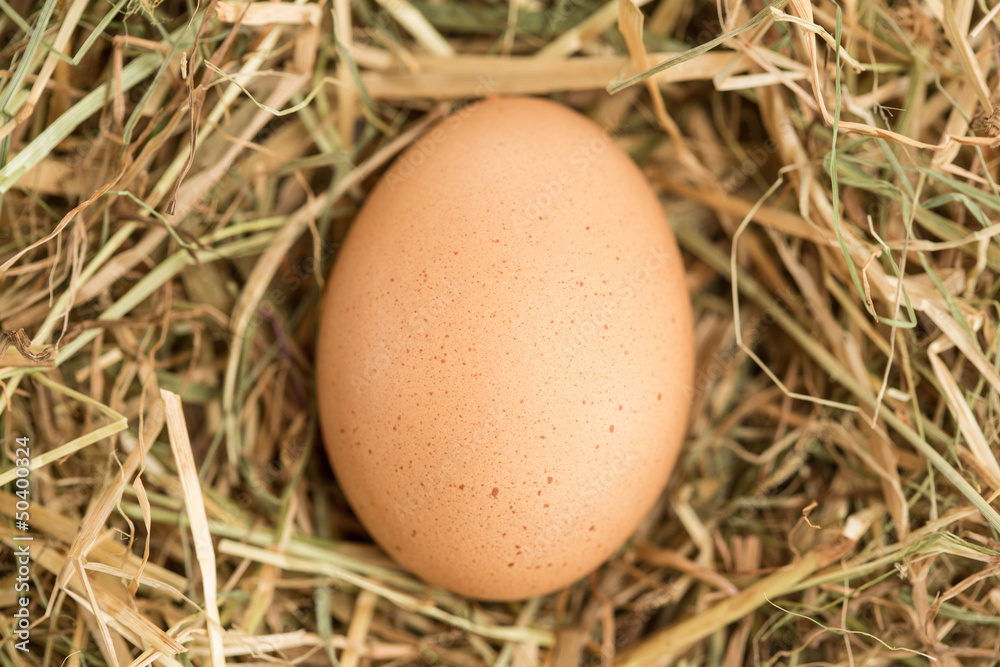 Egg in the straw Egg in the straw
