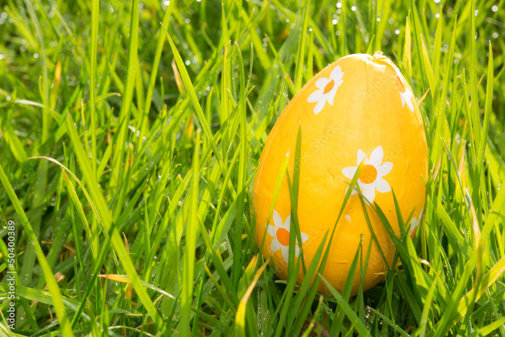Fototapeta premium Orange easter egg in the grass