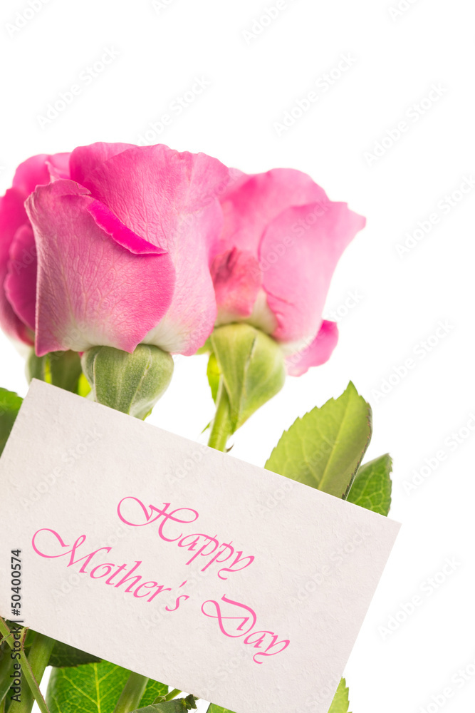 Fototapeta premium Happy mothers day card with pink roses