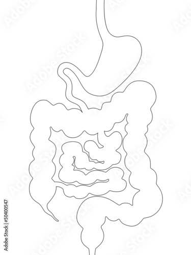 Schwarze Outline eines Magen-Darm-Trakts – Vektor