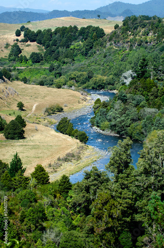 Taumarunui river