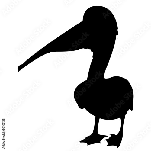 Pelikan Silhouette Vektor