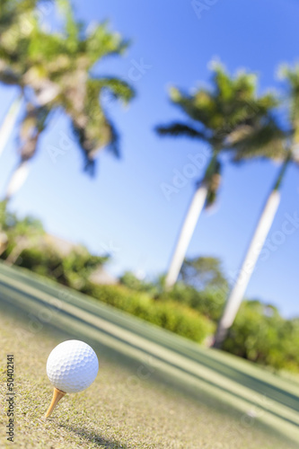 Golf Ball on Tee Tropical Golf Course
