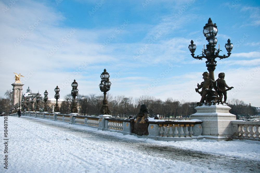 Obraz premium pont Alexandre III à Paris sous la neige