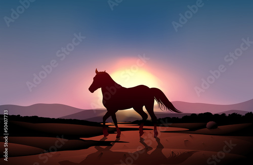A sunset with a horse