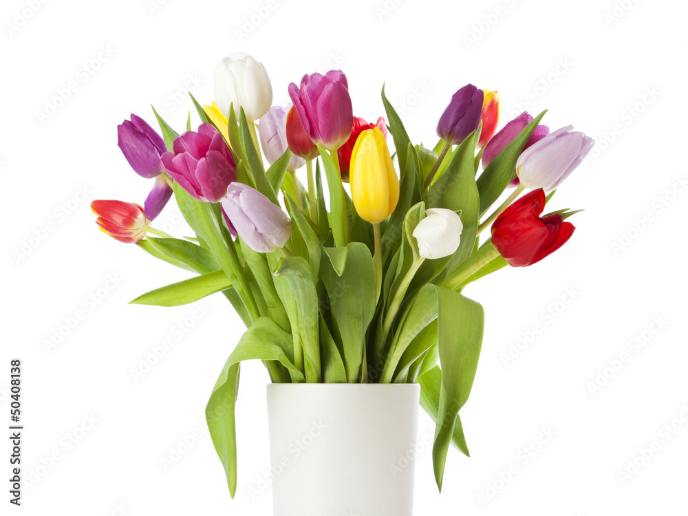 Tulip bouquet