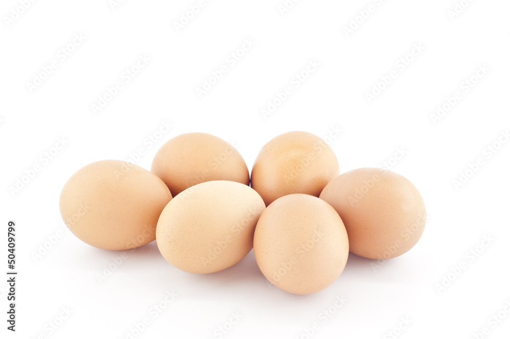 Chicken egg. Chicken egg.