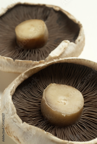 Raw flat mushrooms