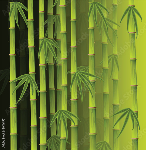 Bamboo forest © jirikaderabek