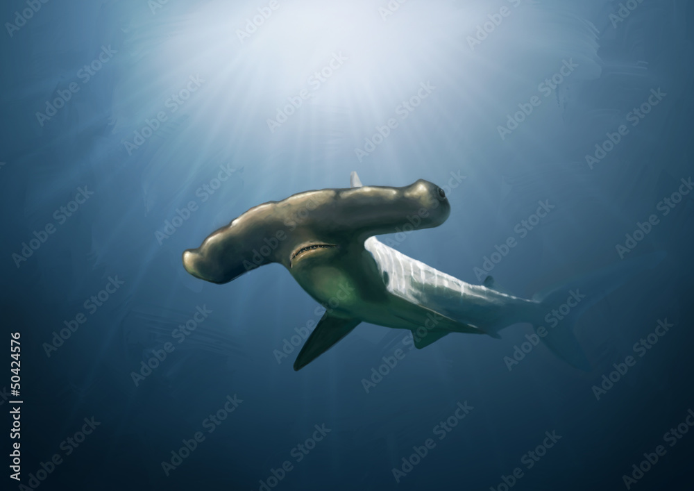 Fototapeta premium Hammerhead shark painting