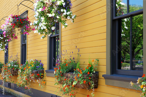 Fototapeta Naklejka Na Ścianę i Meble -  Flowers in hanging basket with yellow wall.