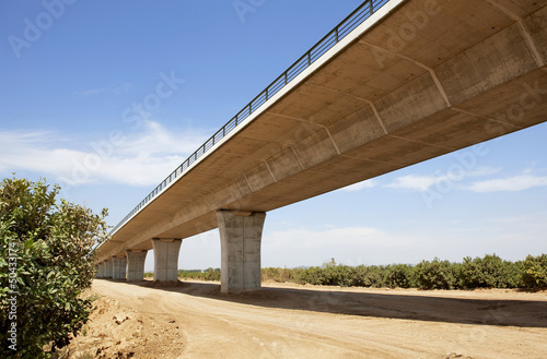 High speed bridge on fields of fruit trees photo