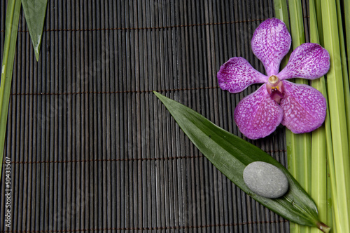 Fototapeta Naklejka Na Ścianę i Meble -  Macro of orchid and spring plant on bamboo stick straw mat