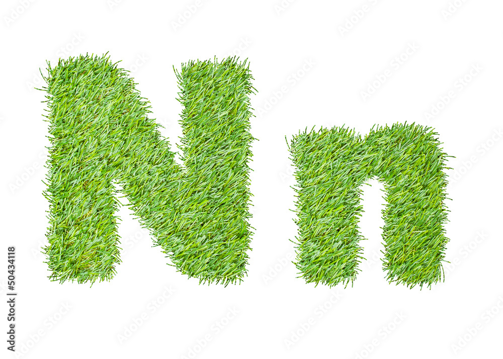 Alphabet from the green grass. isolated on white Alphabet from the green grass. isolated on white