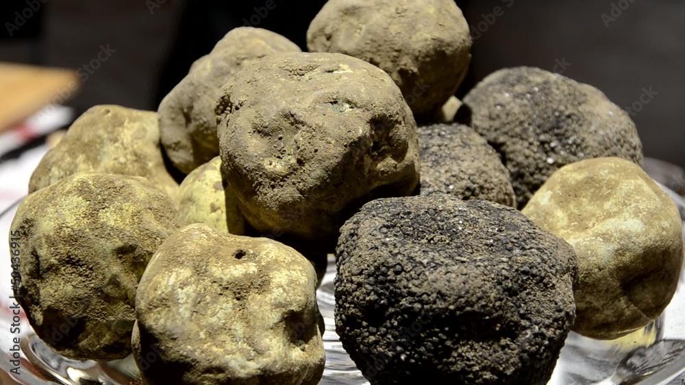tartufi