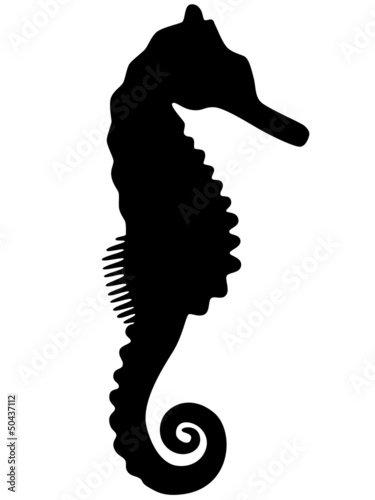 Schwarze Silhouette eines Seepferdchens, Vektor und freigestellt