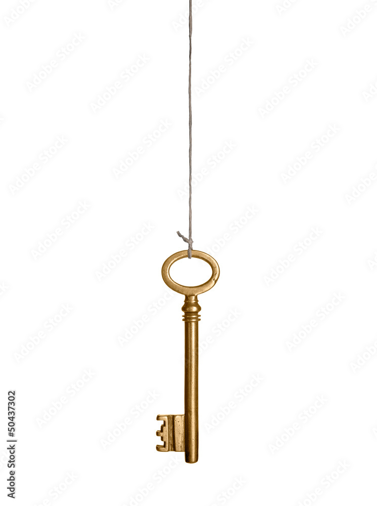 Hanging Gold Key Hanging Gold Key