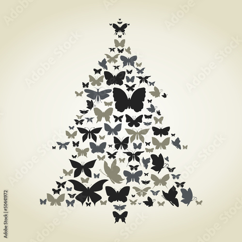 Butterfly a pine
