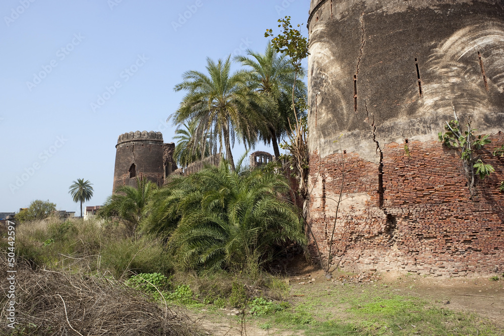 Obraz premium crumbling ruins