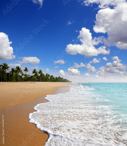 beach landscape
