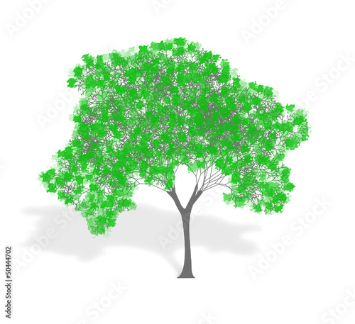 tree