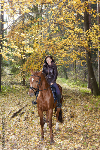 equestrian on horseback in autumnal nature