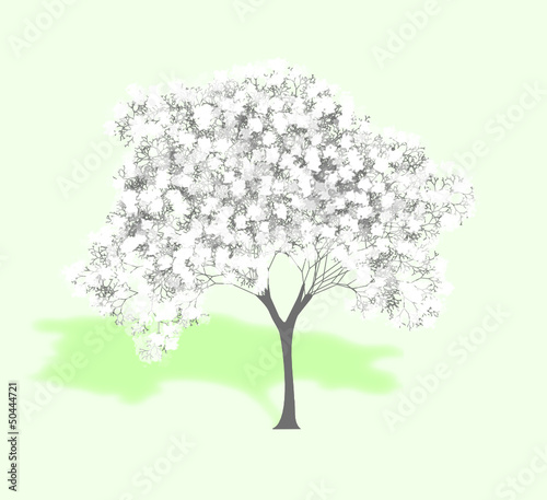 tree