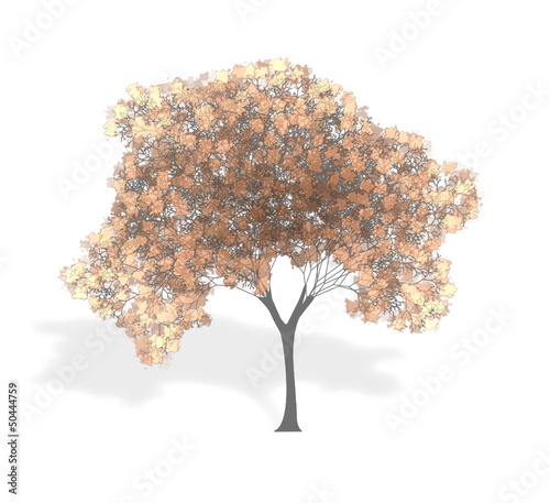 tree