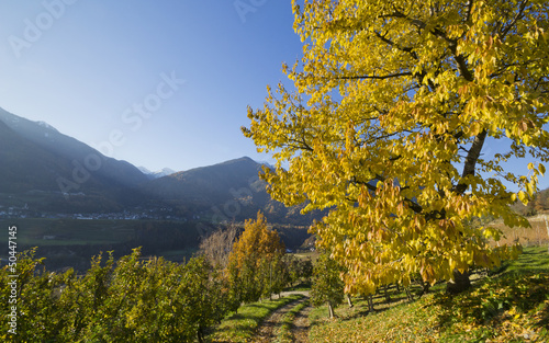Fototapeta Naklejka Na Ścianę i Meble -  Paesaggio autunnale di montagna