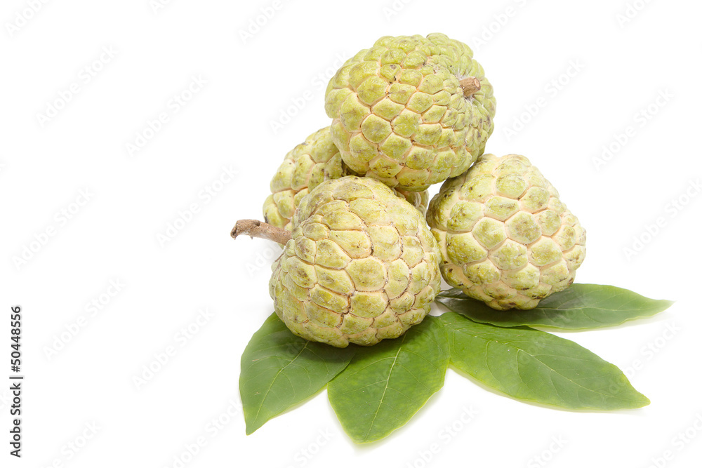 Fototapeta premium Sugar Apple