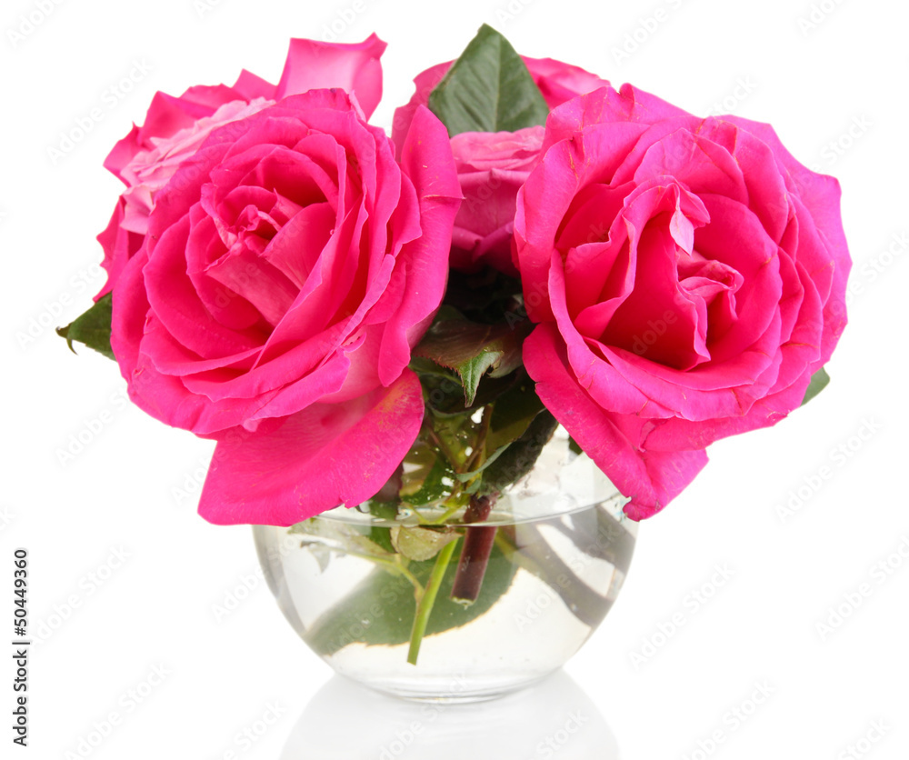Fototapeta premium Beautiful pink roses in vase isolated on white