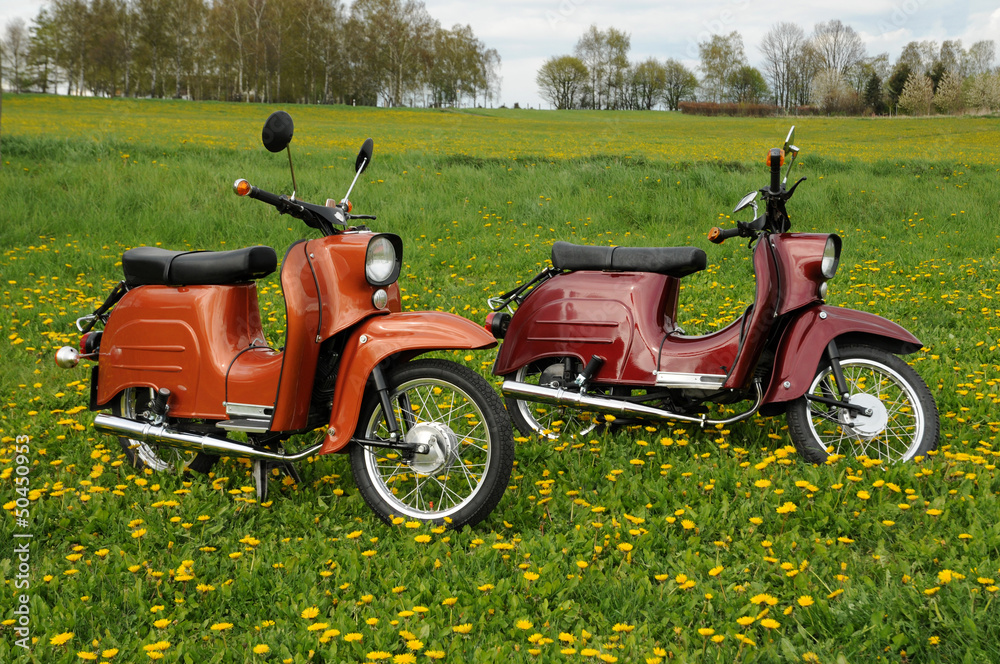 Fototapeta premium Mopeds im Löwenzahn