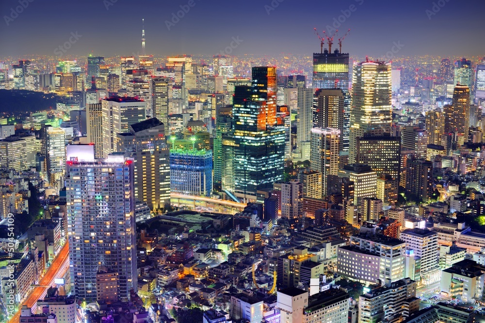 Fototapeta premium Tokyo Cityscape