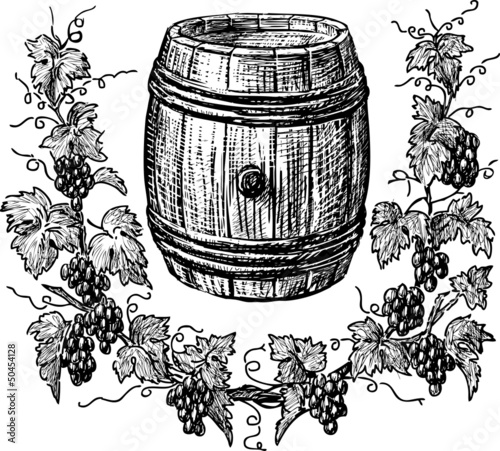 wine cask and grapevine
