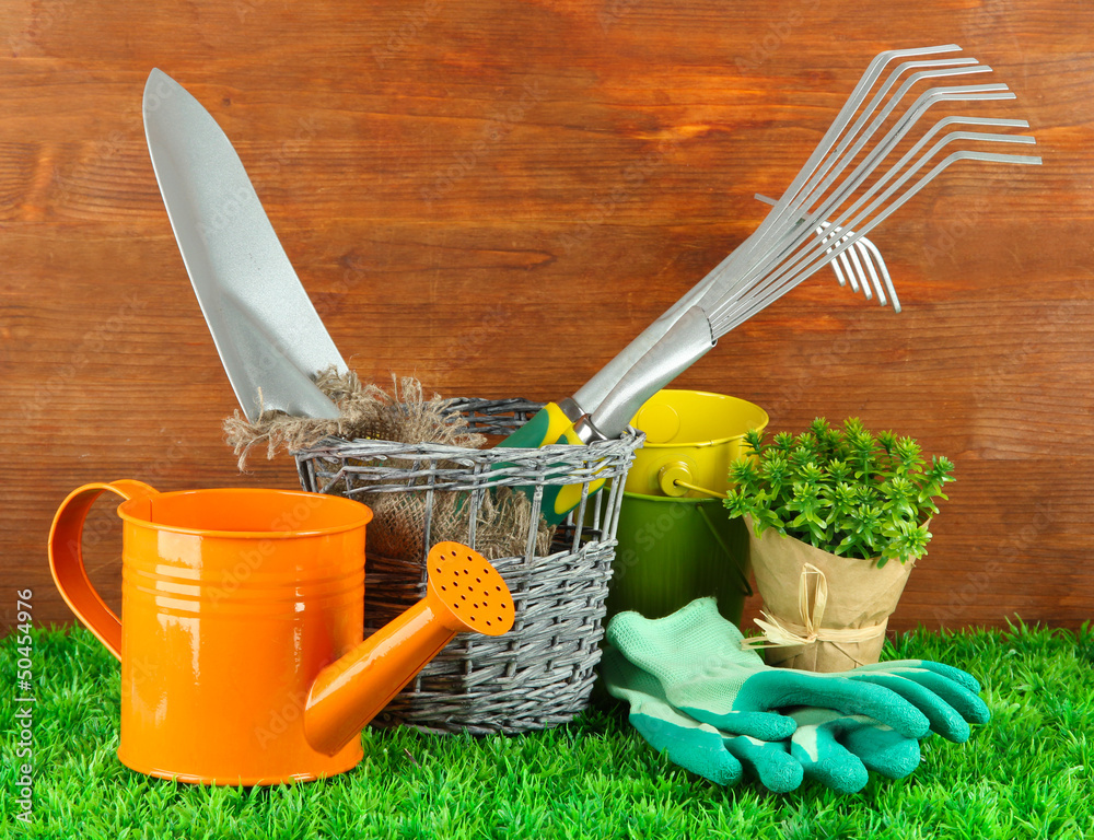 Garden tools on grass in yard