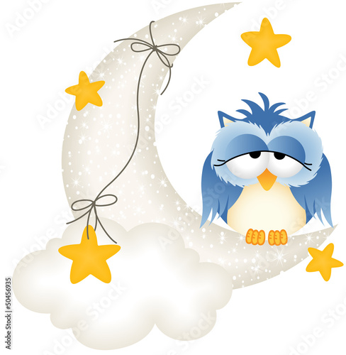 Owl dozing on the moon
