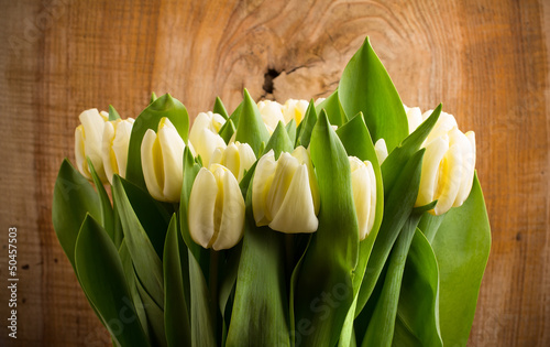 Fototapeta Naklejka Na Ścianę i Meble -  Tulips.