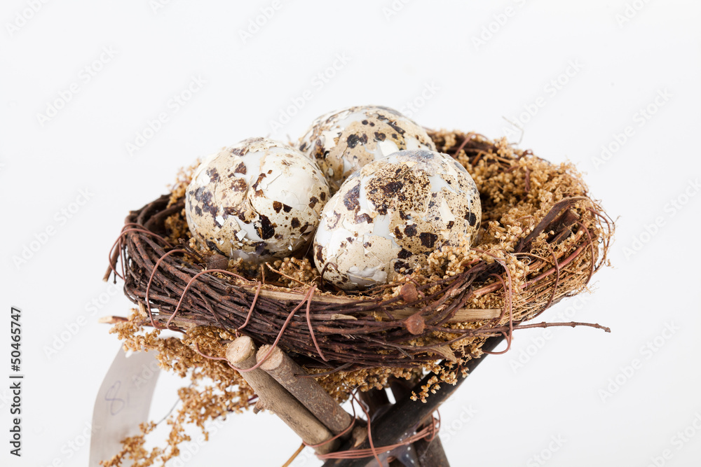 Obraz premium easter