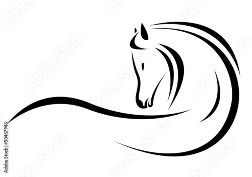 Vector head of horse on a white background