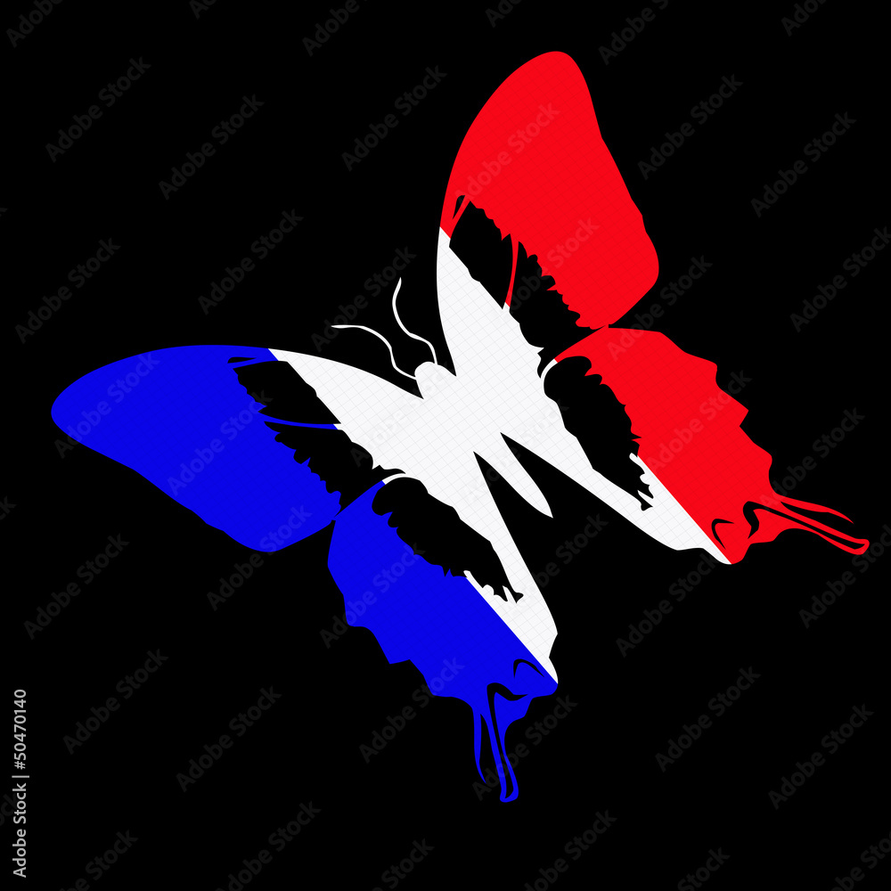 Papillon drapeau français bleu blanc rouge Stock Illustration | Adobe Stock