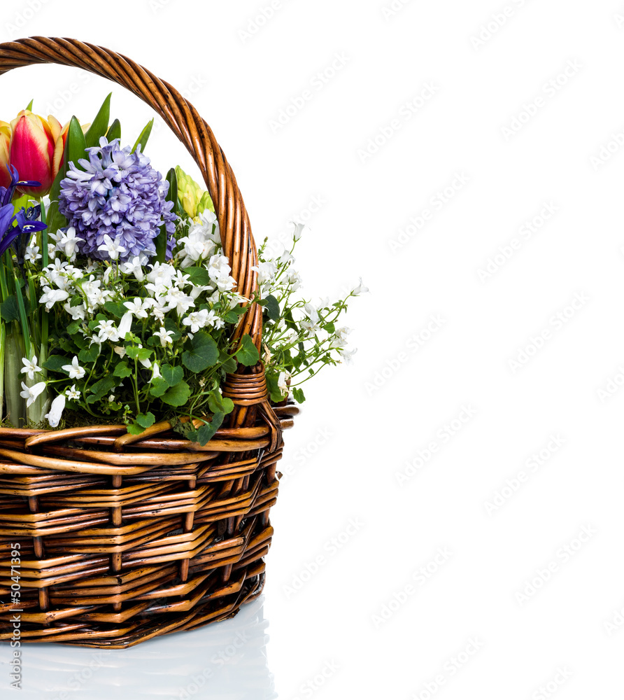 Garden flowers in basket