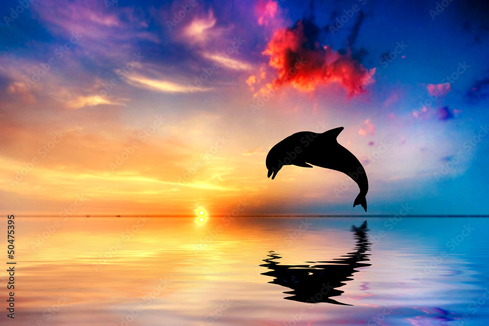 Obraz premium Piękny ocean i zachód słońca, skoki delfinów