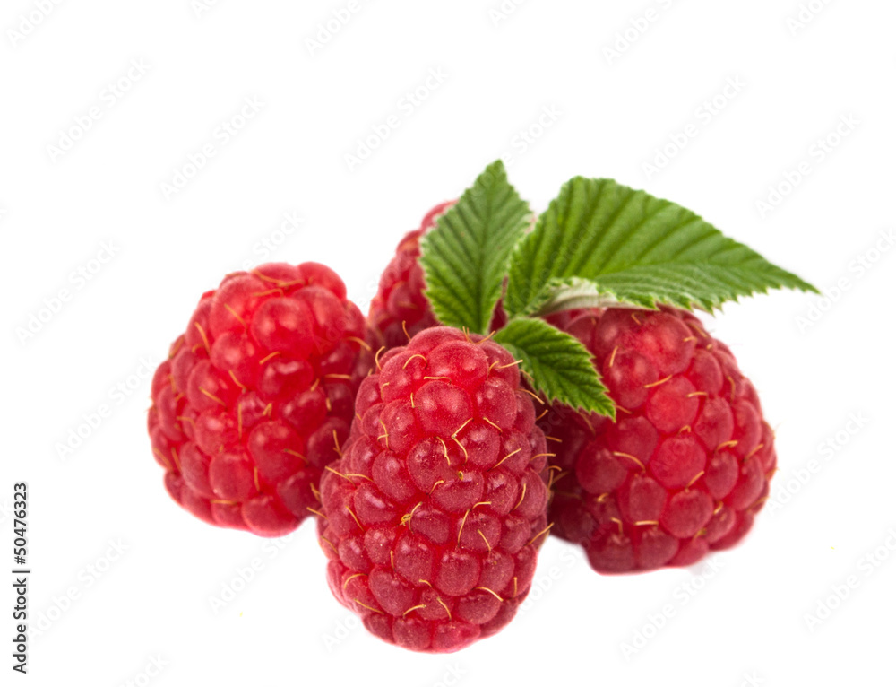 Raspberry isolated Raspberry isolated