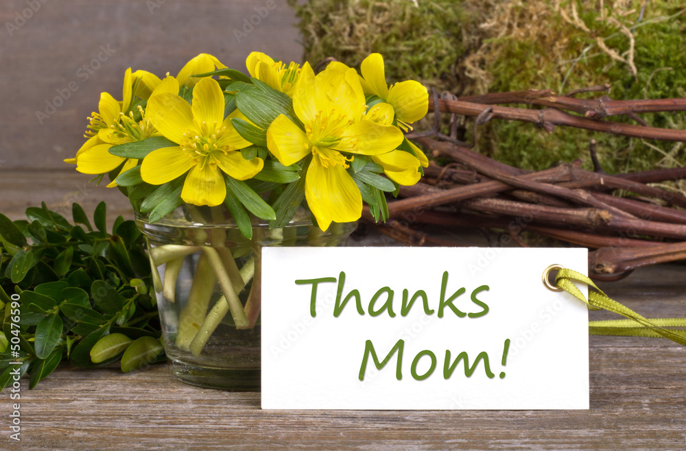 Fototapeta premium mother`s day