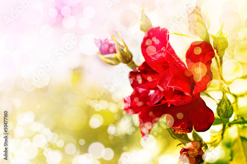 Spring background with a flowers