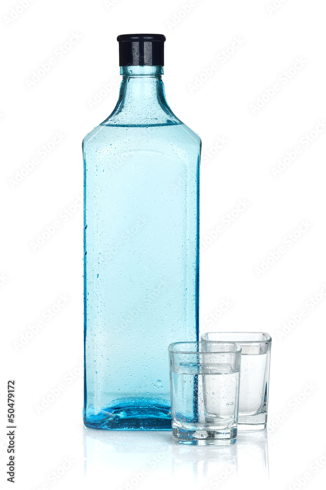 Gin bottle and two shots Gin bottle and two shots