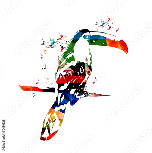 Colorful vector toucan background with hummingbirds