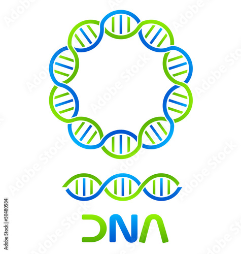 DNA Strand and Seamless